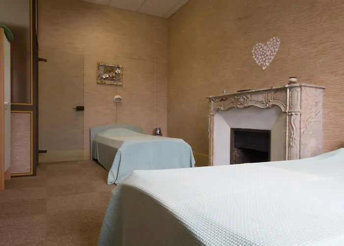 Bed & Breakfast Chateau De Calmels Lacaune