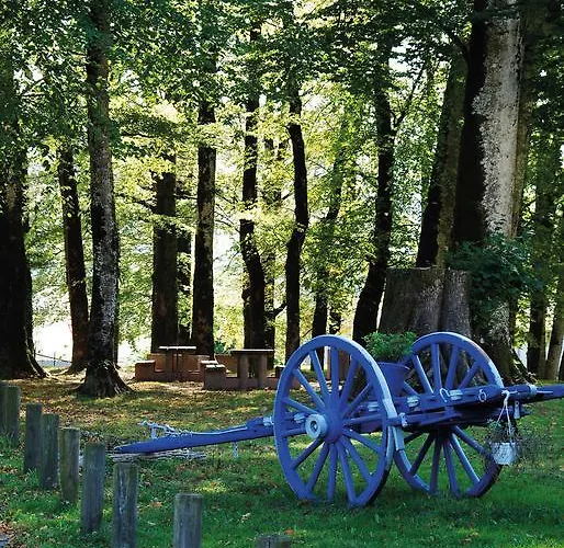 Chateau De Calmels Bed & Breakfast